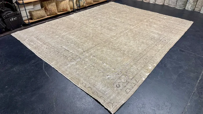 10’ x 12’7 Classic Vintage Rug Muted Gray-Beige and Sage Green ‘5578